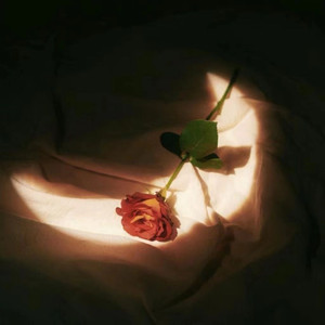 xiuxiu·la羞羞视频网站
